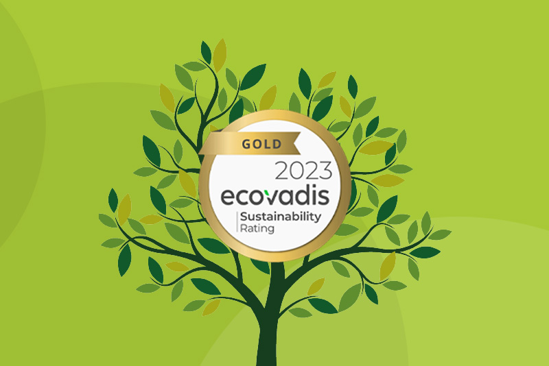 Arbre newsletter RSE décembre 2023