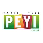 Logo-TV_Peyi Logo-TV_Peyi