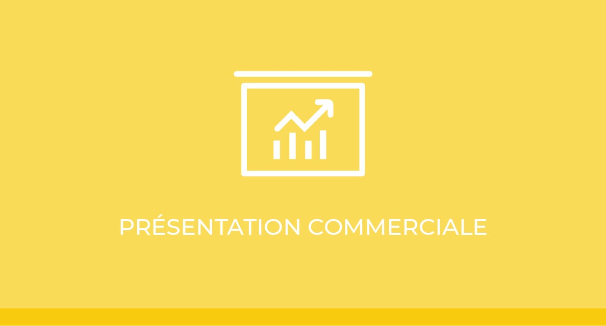 vignettes_Presentaiton Services Snap